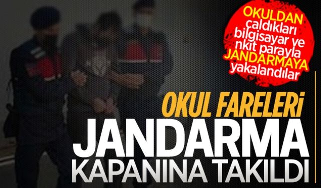 Okul fareleri jandarma kapanına takıldı