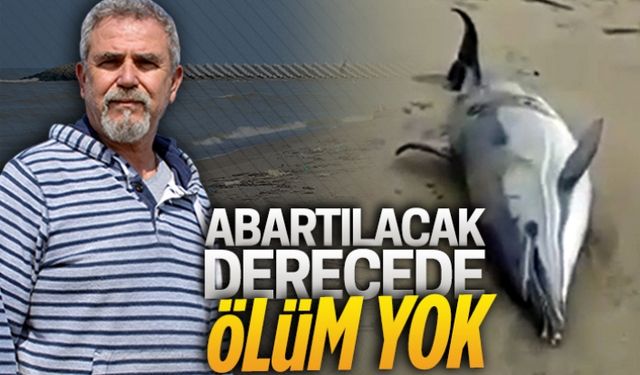 Abartılacak derecede ölüm yok