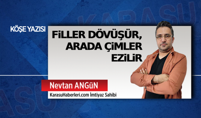 Filler dövüşür, arada çimler ezilir