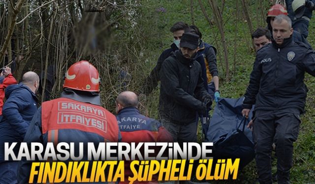 Karasu merkezinde fındıklıkta şüpheli ölüm