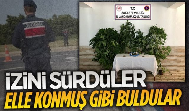 Karasu jandarmasından uyuşturucu baskını