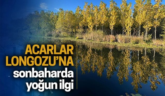 Acarlar Longozu’na sonbaharda yoğun ilgi