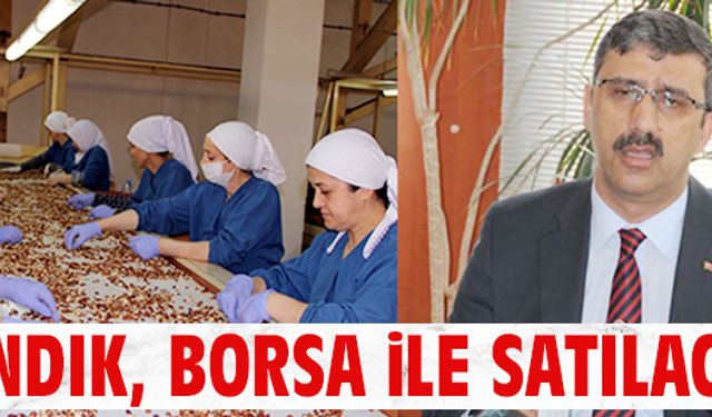 Fındık, borsa ile satılacak