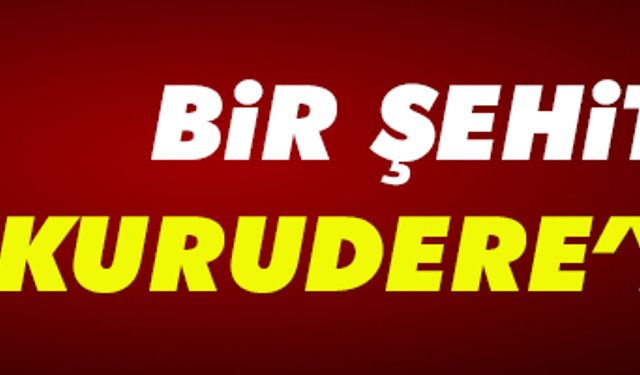 Bir şehit ateşi de Kurudere’ye düştü