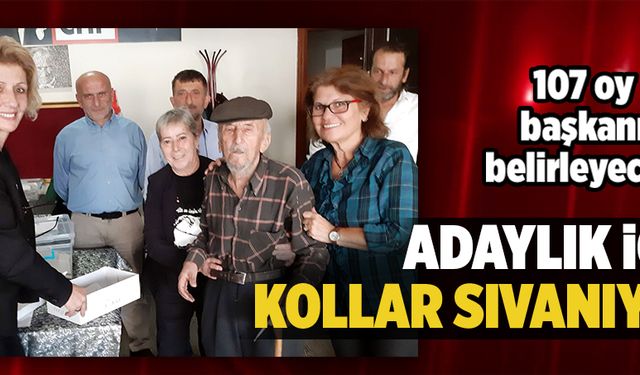 Adaylık için kollar sıvanıyor