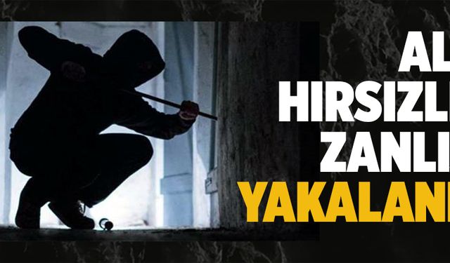 Altı hırsızlık zanlısı yakalandı