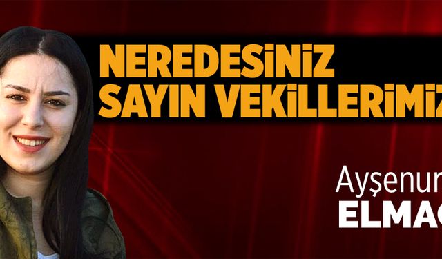 Neredesiniz sayın vekillerimiz?