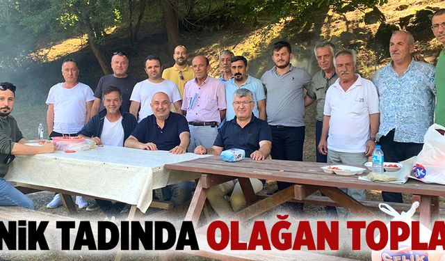 Piknik tadında olağan toplantı