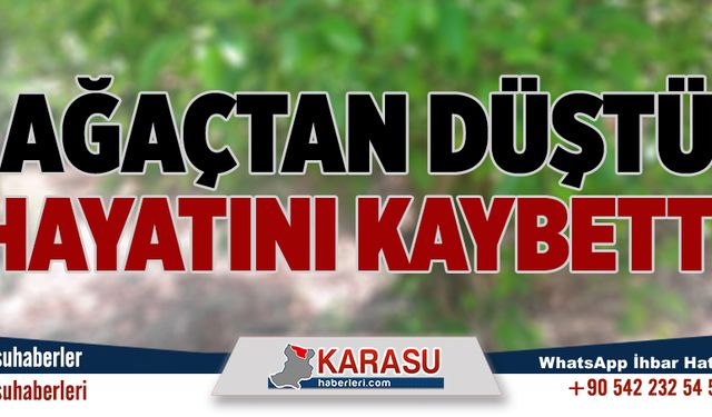 Ağaçtan düştü, hayatını kaybetti