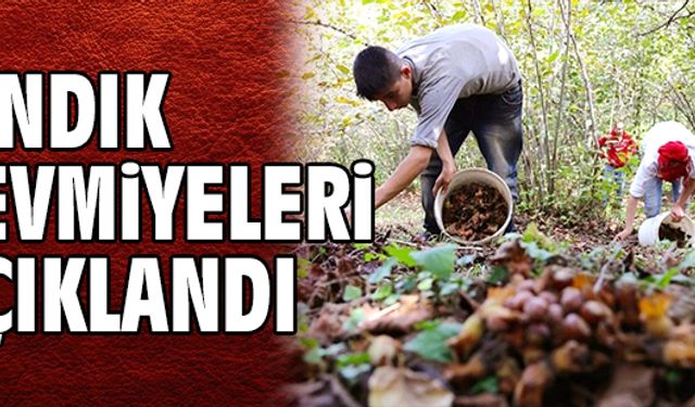 Fındık yevmiyeleri açıklandı