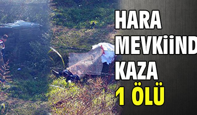 Hara mevkiinde kaza: 1 ölü