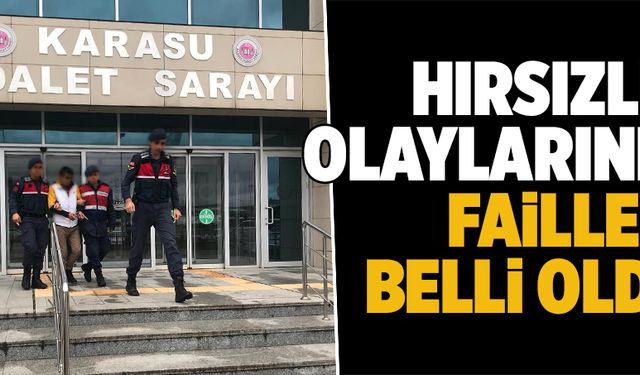 Hırsızlık olaylarının failleri belli oldu