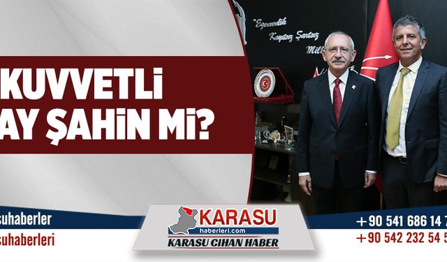 En kuvvetli aday Şahin mi?