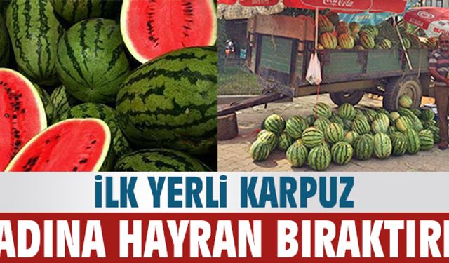 İlk yerli karpuz hayran bıraktı