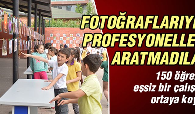 Profesyonelleri aratmadılar