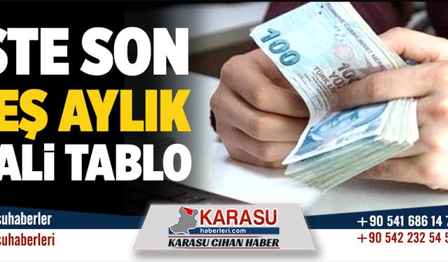 Son beş aylık mali tablo