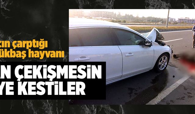 Can çekişmesin diye kestiler