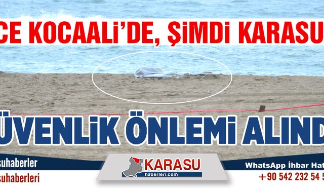 Önce Kocaali’de, şimdi Karasu’da