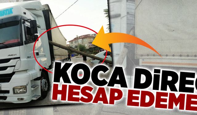 Koca direği hesap edemedi