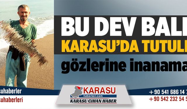 Bu dev balık Karasu’da tutuldu