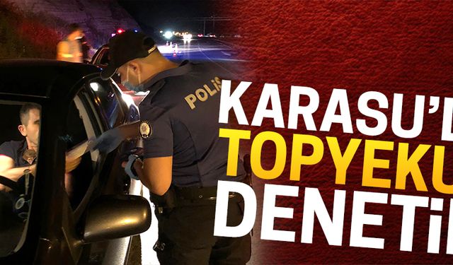 Karasu'da topyekun denetim