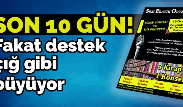 Projeye destek çığ gibi