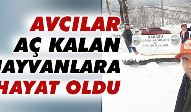 Avcılar, aç hayvanlara hayat oldu