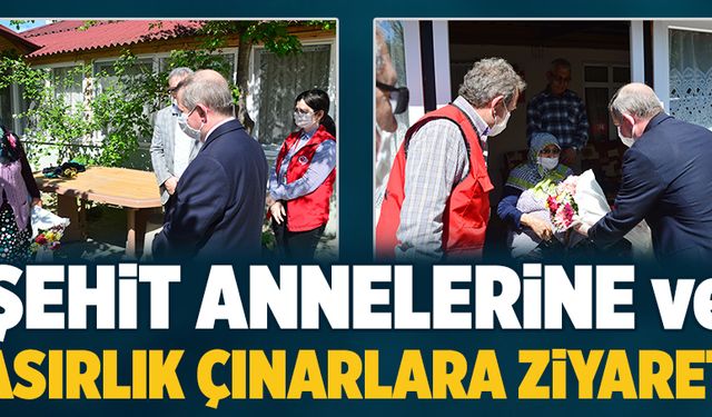 Şehit anneleri ve asırlık çınarlara ziyaret