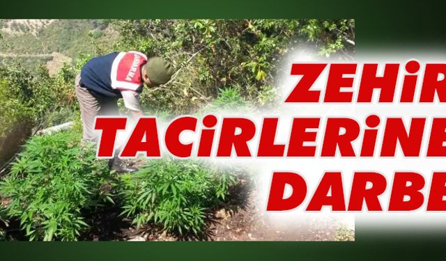 Jandarma’dan tacirlere darbe