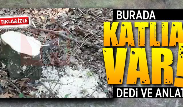 “Burada katliam var” dedi ve anlattı