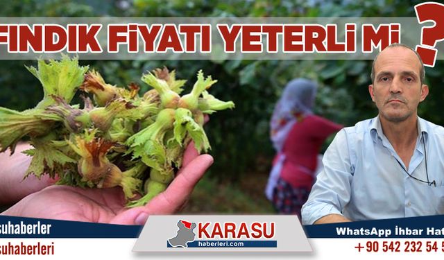 Fındık fiyatı yeterli mi?