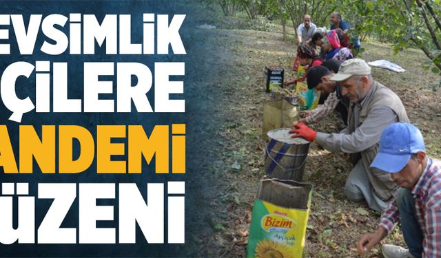 Mevsimlik işçilere yönelik düzenleme