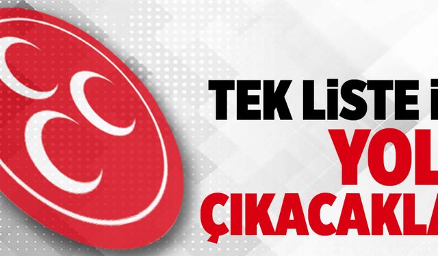 Tek listeyle yola çıkacaklar