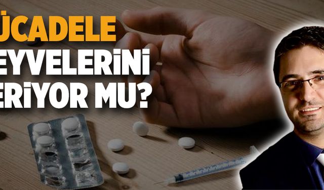 Mücadele meyvelerini veriyor mu?