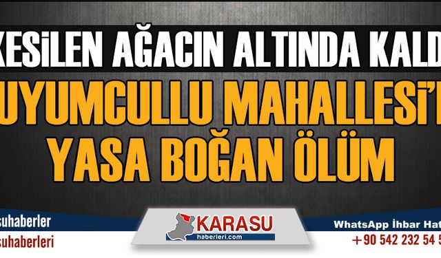 Kesilen ağacın altında kaldı