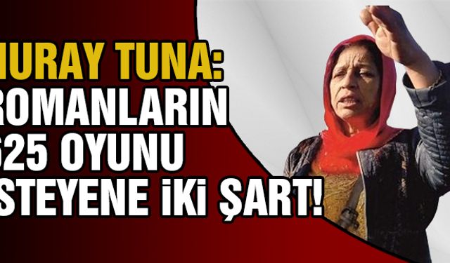 Romanların oyu için iki şart!