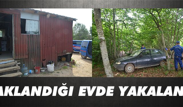 Saklandığı barakada yakalandı