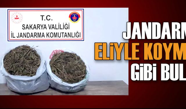 Jandarma, eliyle koymuş gibi buldu