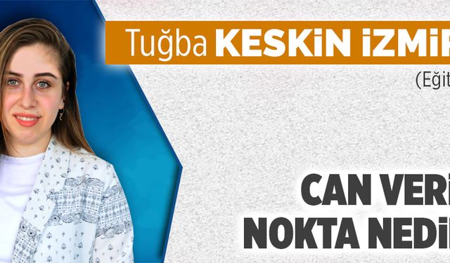 Can verici nokta nedir?