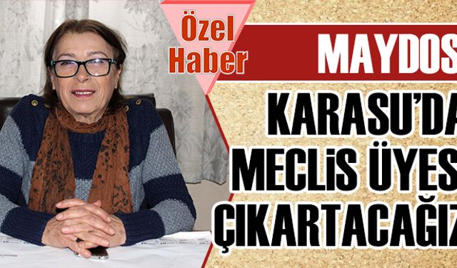 Meclis üyesi çıkartacağız