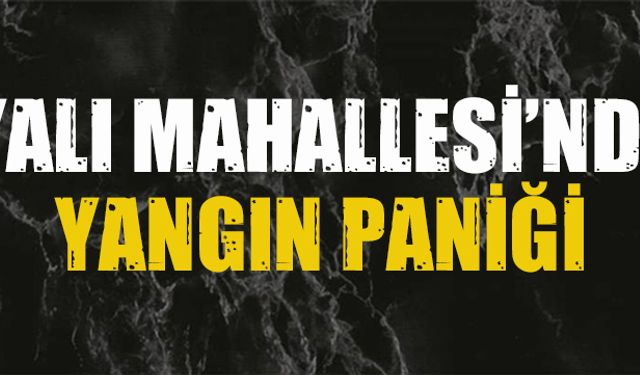 Yalı Mahallesi'nde yangın paniği