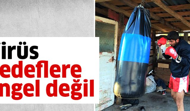 Virüs, hedeflere engel değil