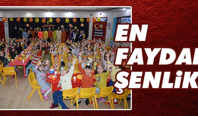 En faydalı şenlik