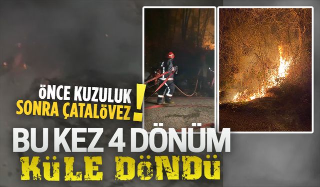 Çatalövez’de çıkan yangında 4 dönüm alan küle döndü