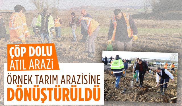 Sakarya’da çöp atılan atıl arazi, örnek tarım arazisine dönüştürüldü