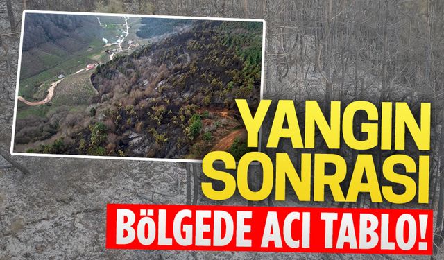 Karasu’da orman yangını sonrası arazi havadan görüntülendi