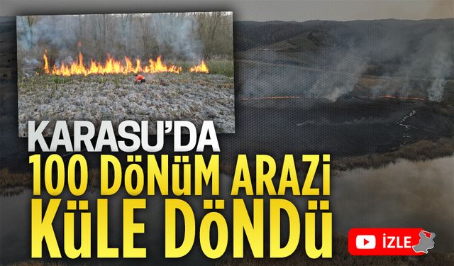 Karasu’da 100 dönüm alan kül oldu