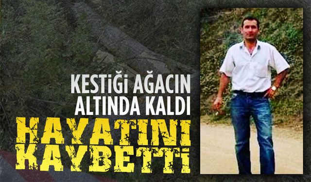 Kestiği ağacın altında kalan bir kişi hayatını kaybetti