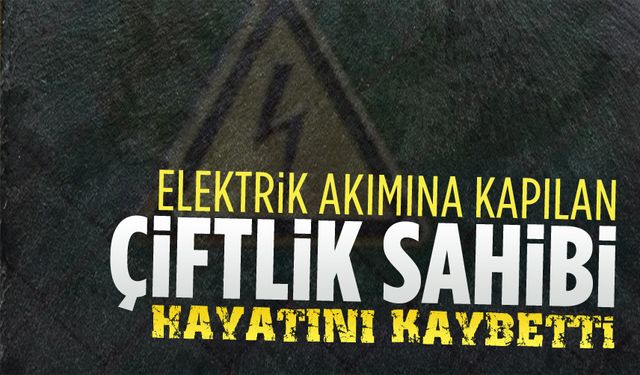 Elektrik akımına kapılan çiftlik sahibi hayatını kaybetti