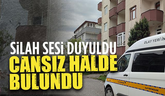 Silah sesi duyuldu, vurulmuş halde bulundu